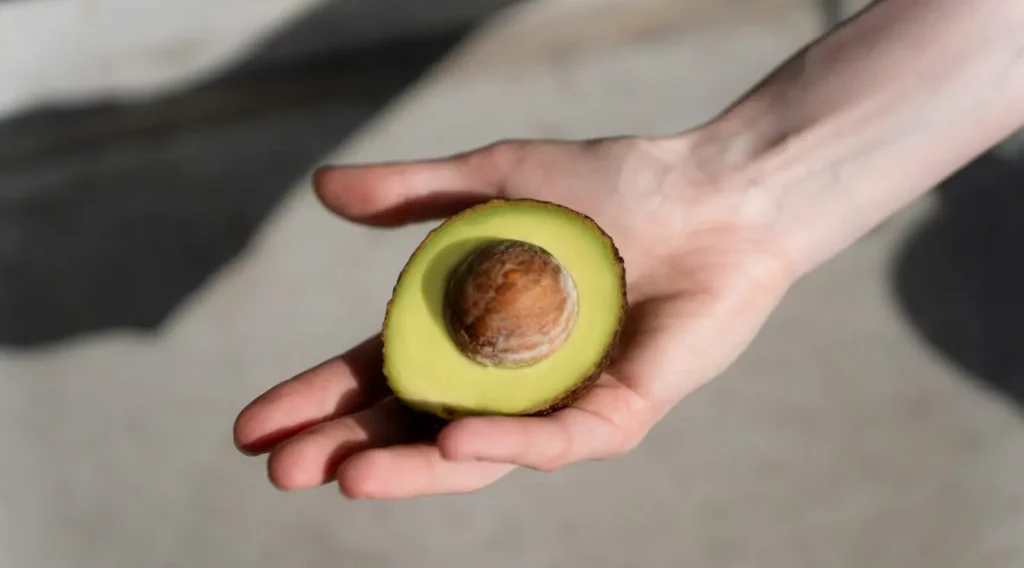 Makronährstoffe für Läufer – gesunde Fette am Beispiel Avocado